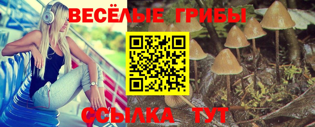 Галлюциногенные грибы прущие грибы  Вход с VPN  Соль-Илецк 